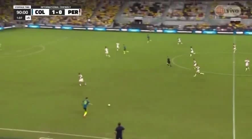 zaslepka skrotu video