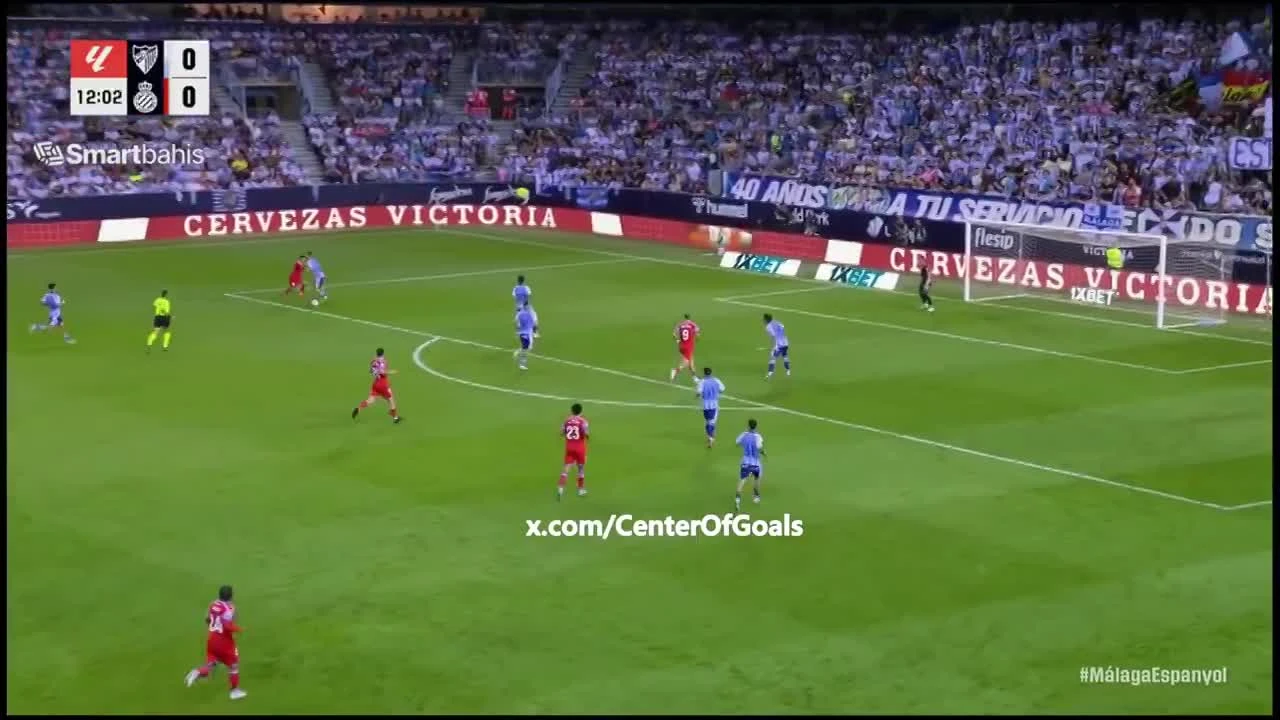 zaslepka skrotu video