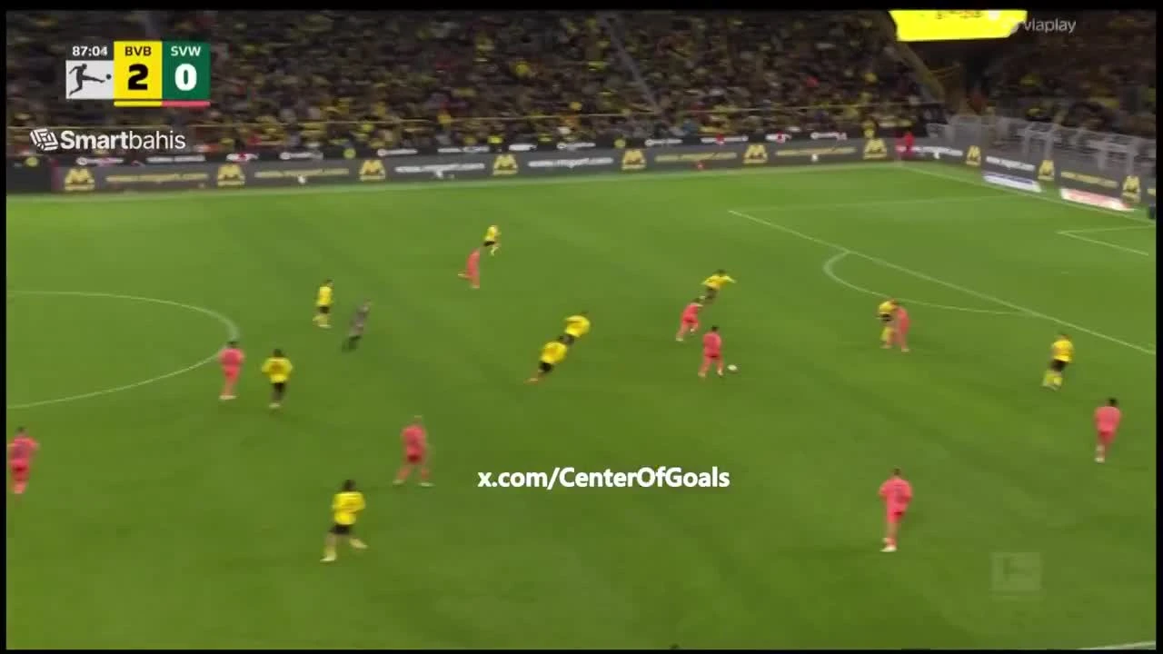 zaslepka skrotu video