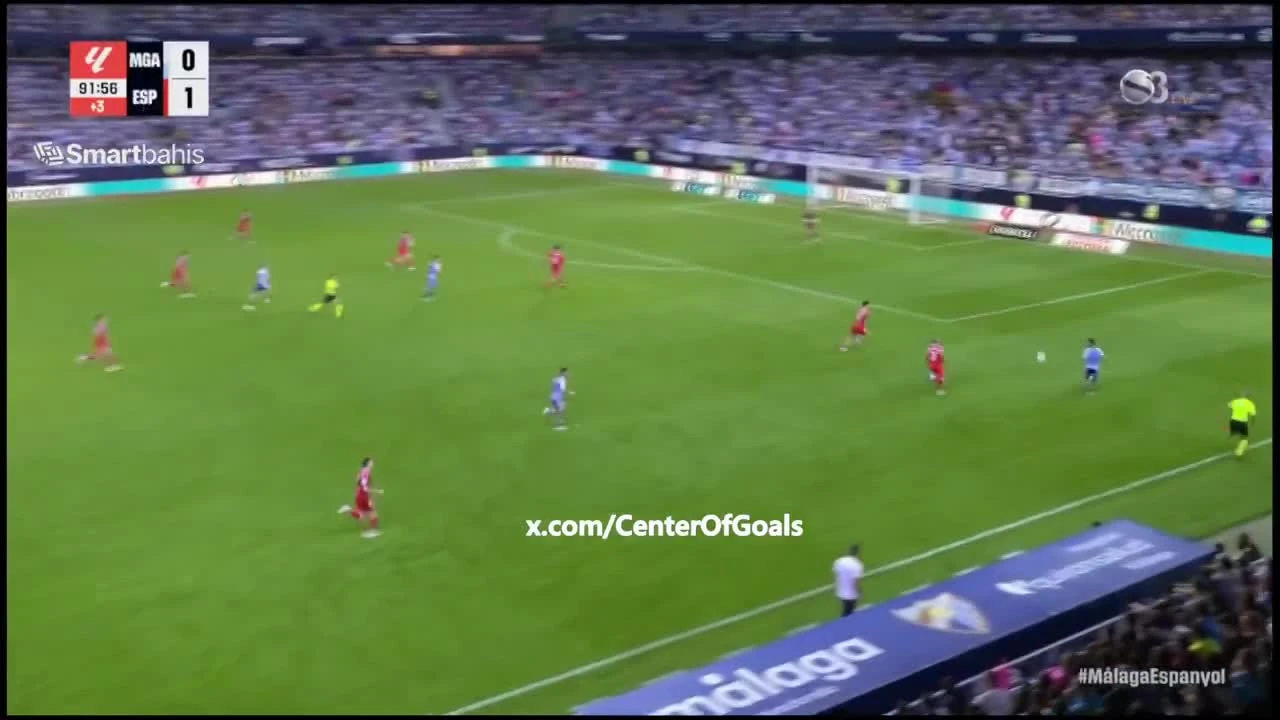 zaslepka skrotu video