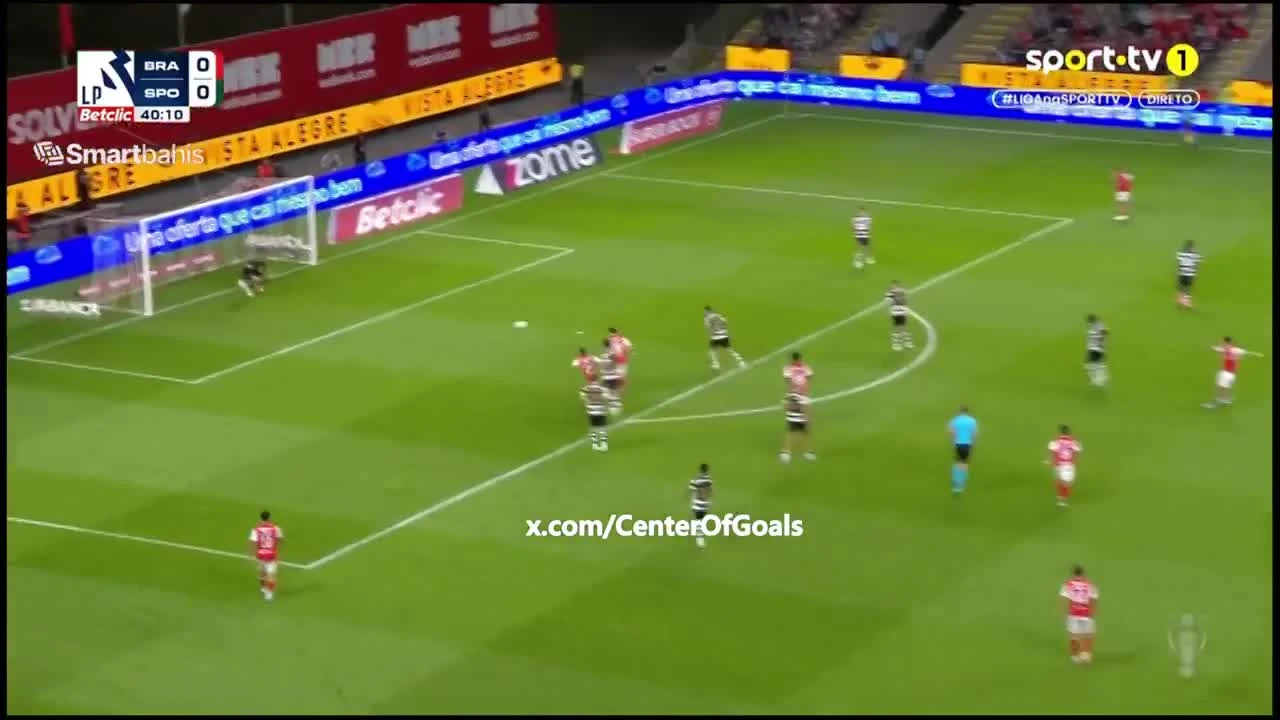 zaslepka skrotu video