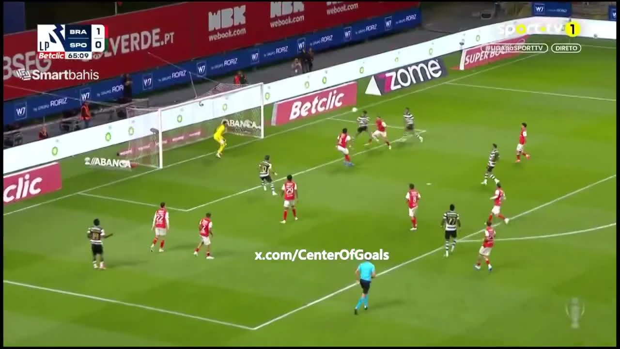 zaslepka skrotu video