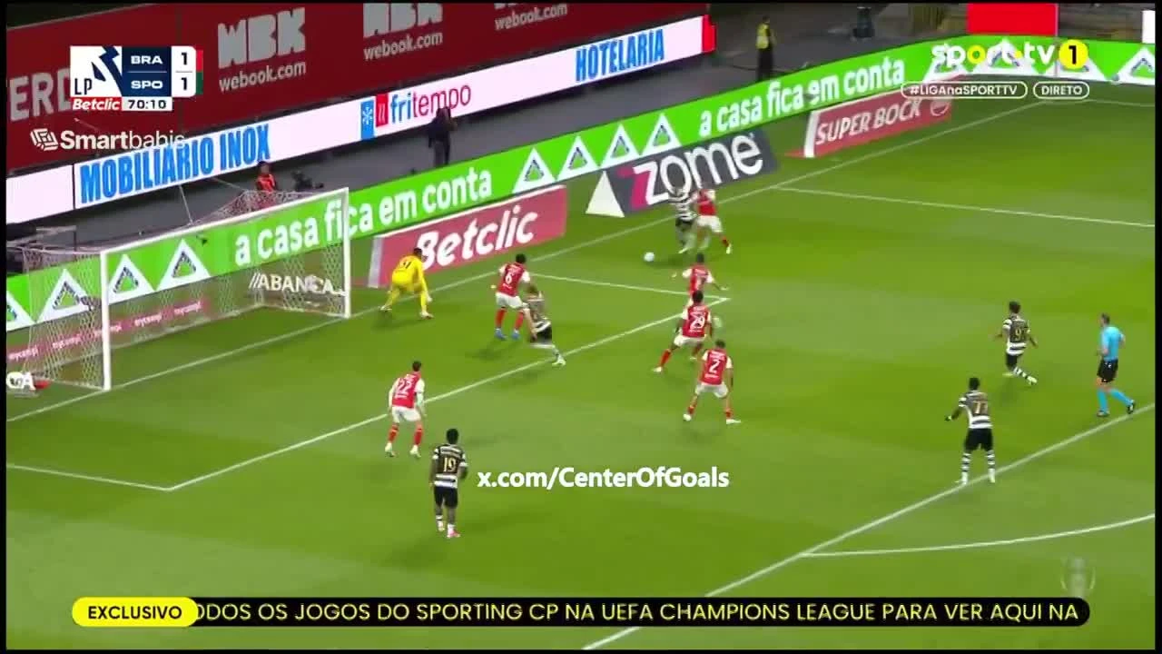 zaslepka skrotu video