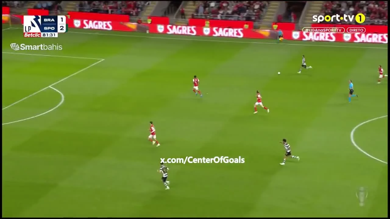 zaslepka skrotu video