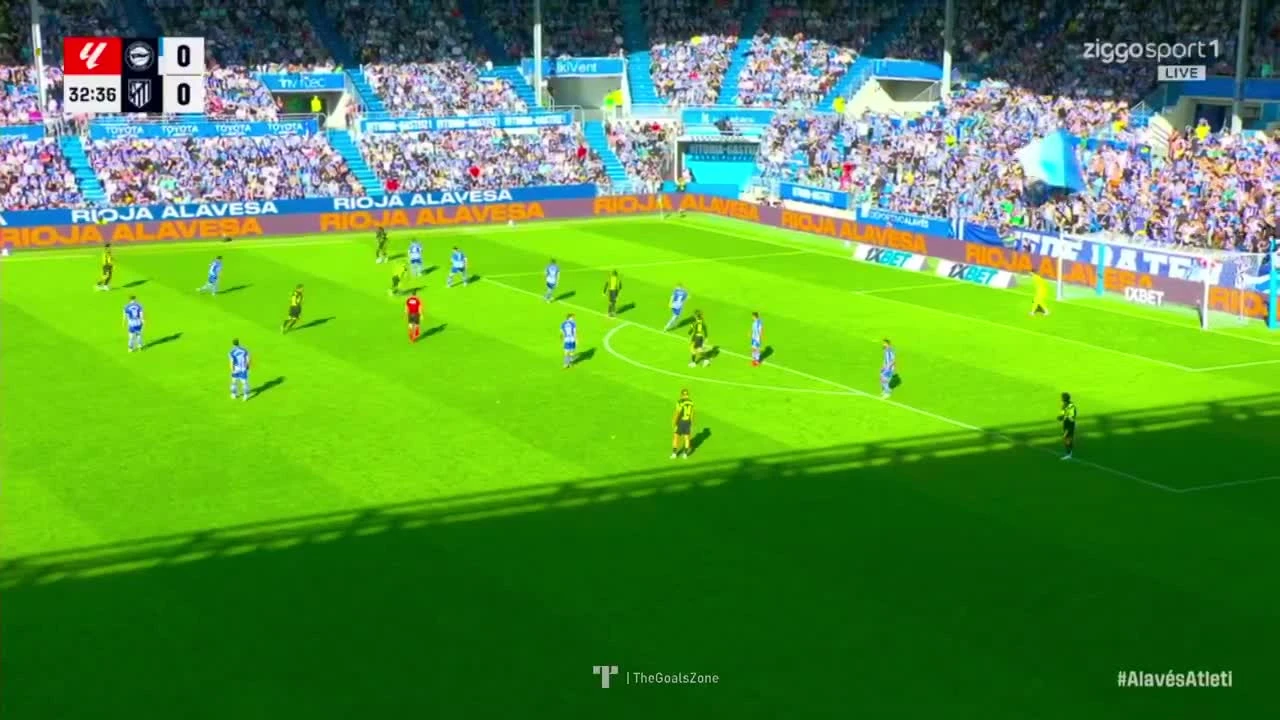 zaslepka skrotu video
