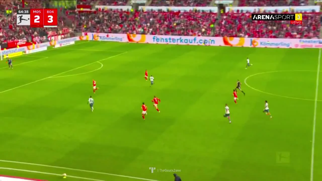 zaslepka skrotu video