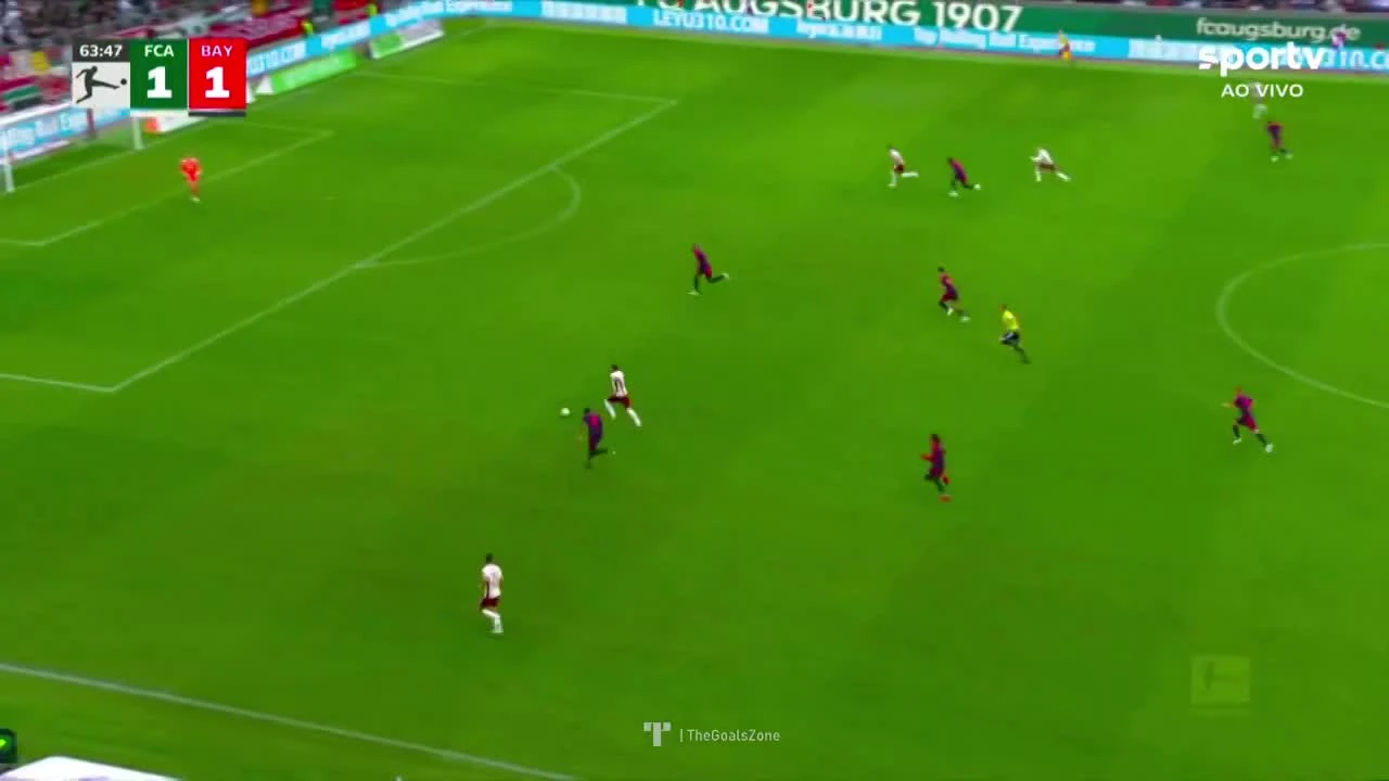 zaslepka skrotu video