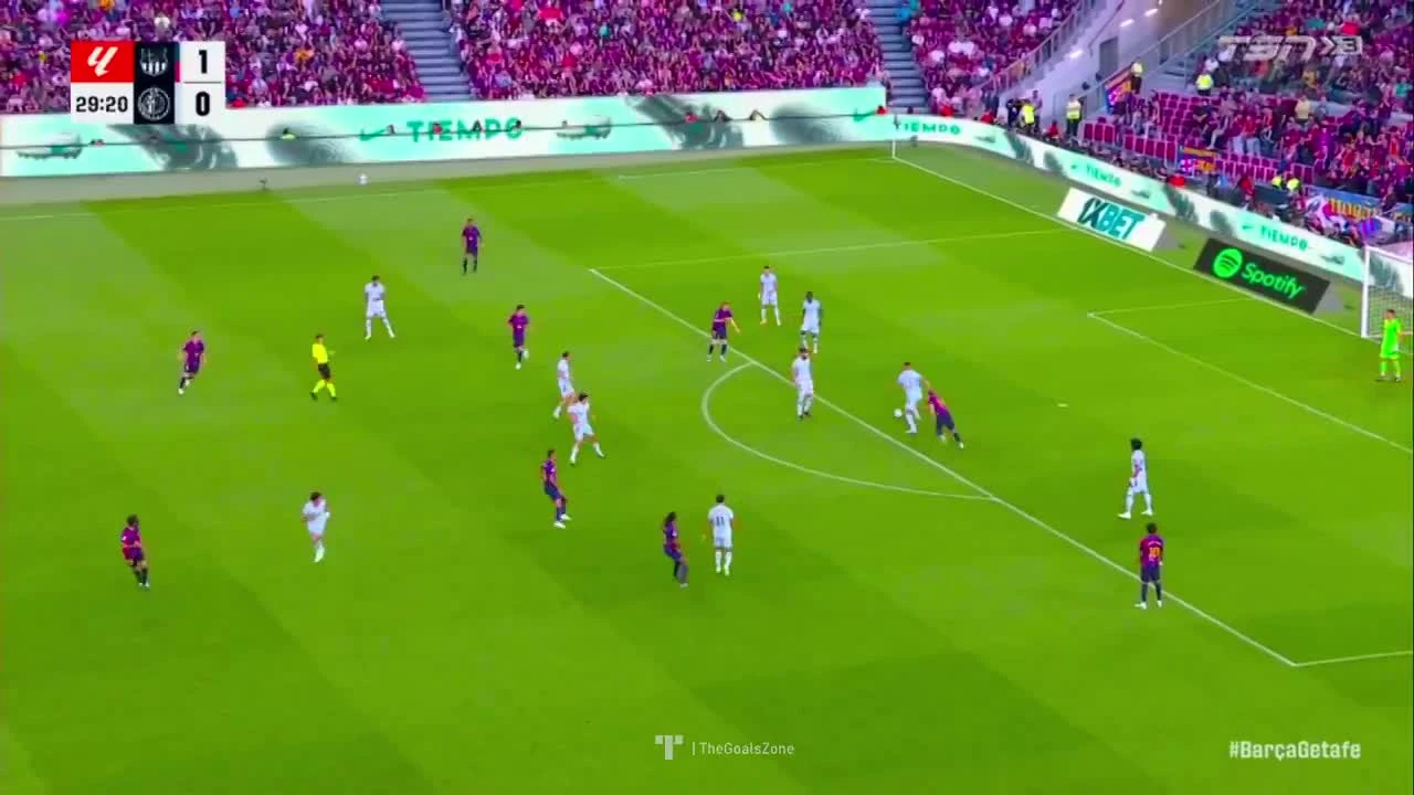 zaslepka skrotu video