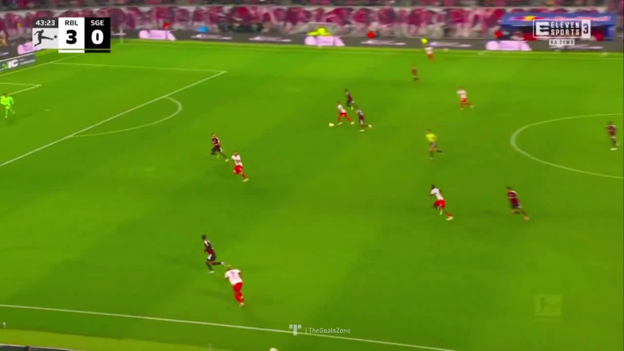 zaslepka skrotu video
