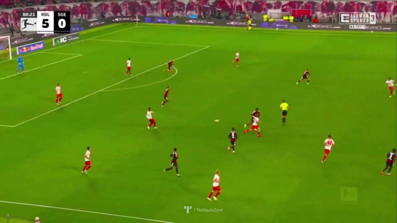 zaslepka skrotu video