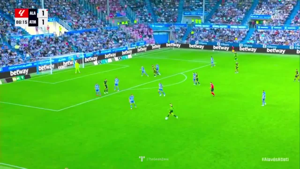 zaslepka skrotu video