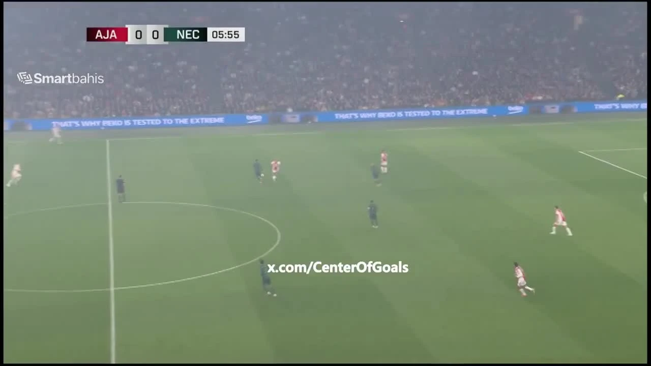 zaslepka skrotu video