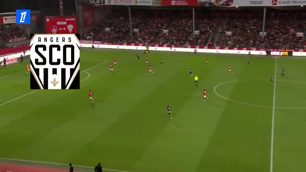 zaslepka skrotu video