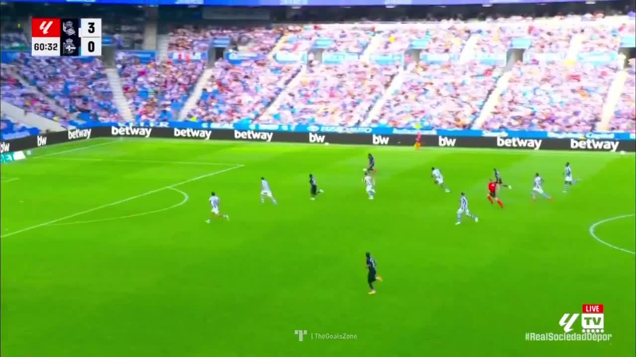 zaslepka skrotu video