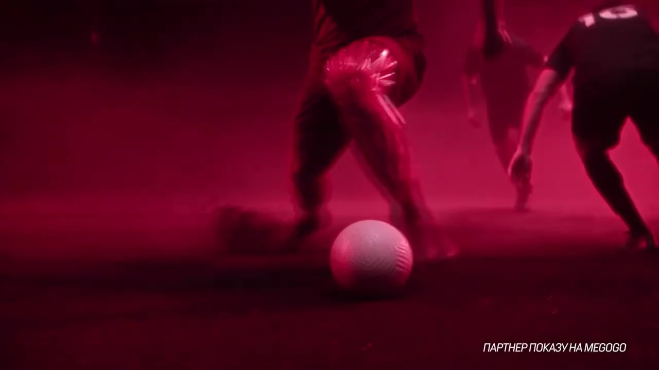 zaslepka skrotu video