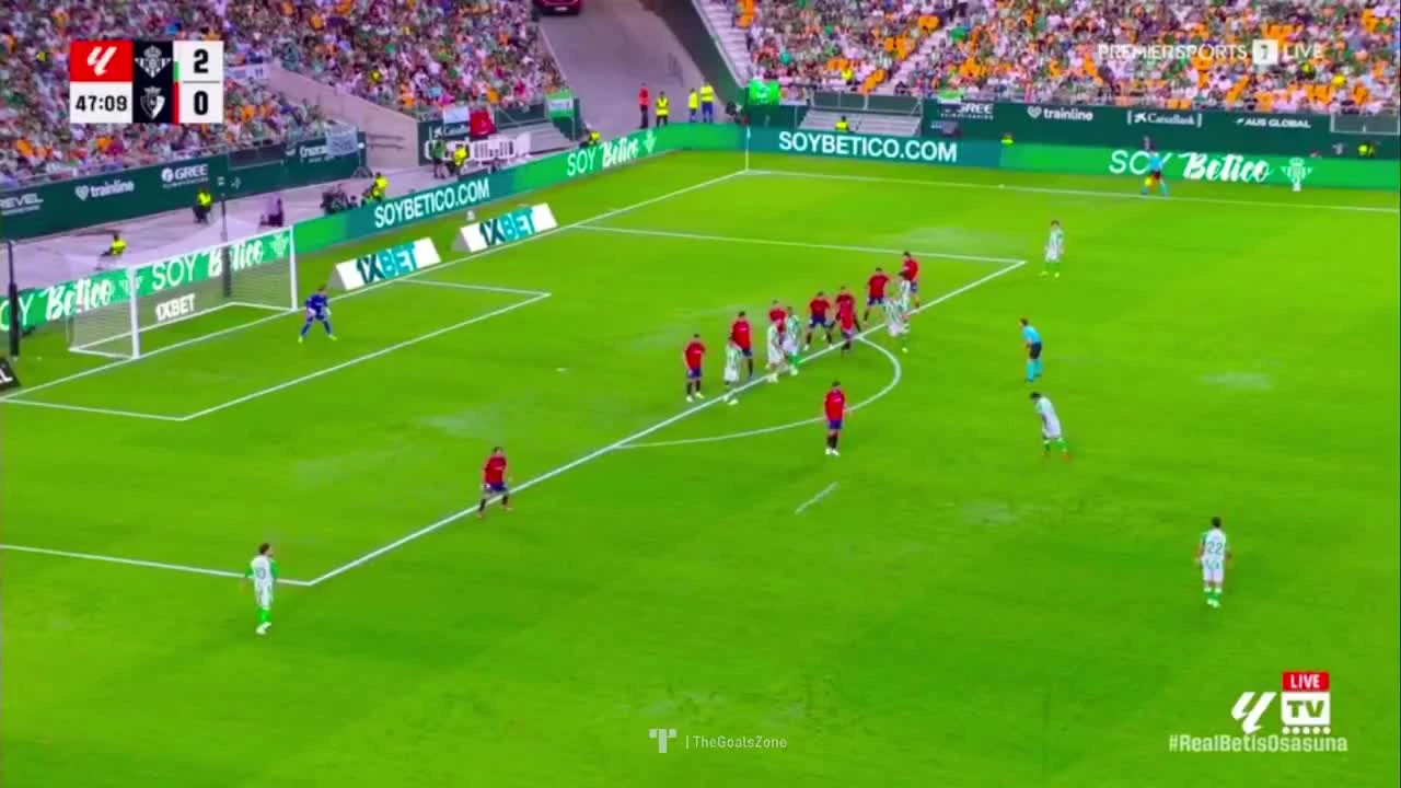 zaslepka skrotu video