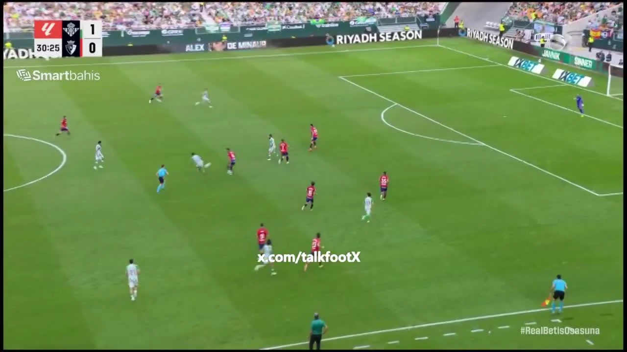 zaslepka skrotu video