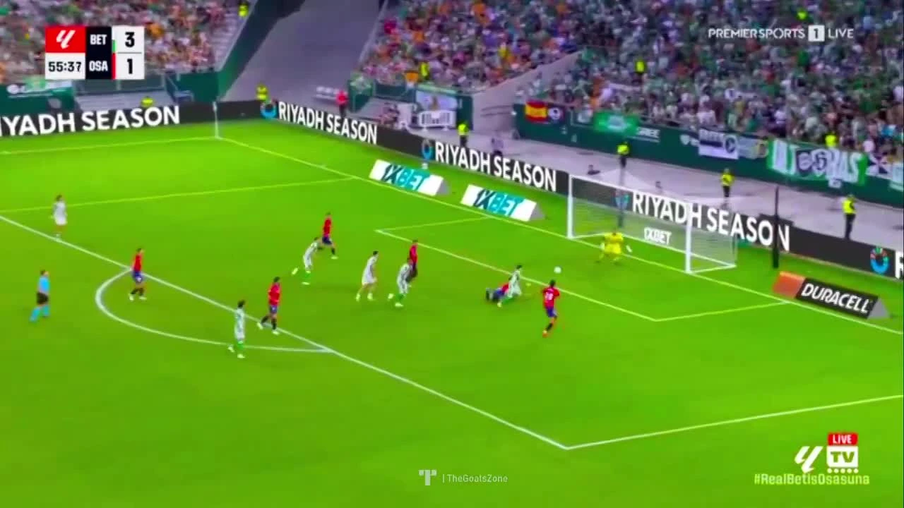 zaslepka skrotu video