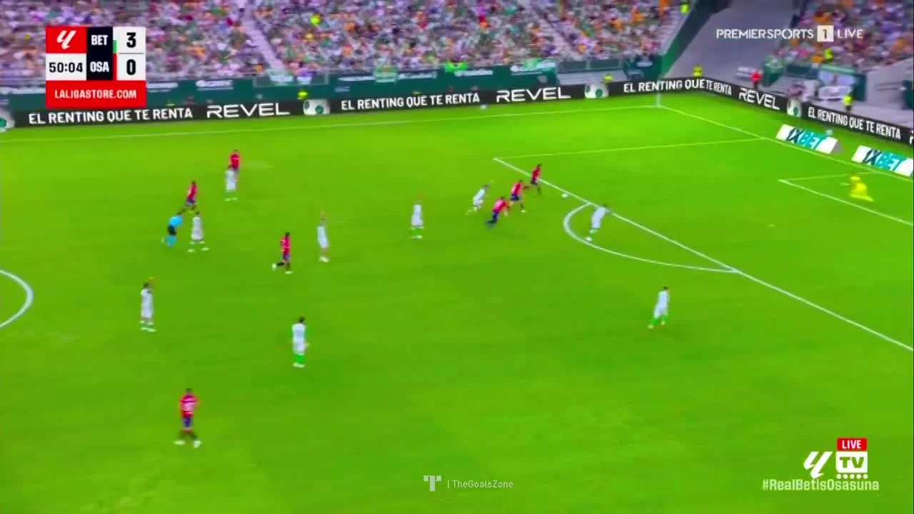 zaslepka skrotu video