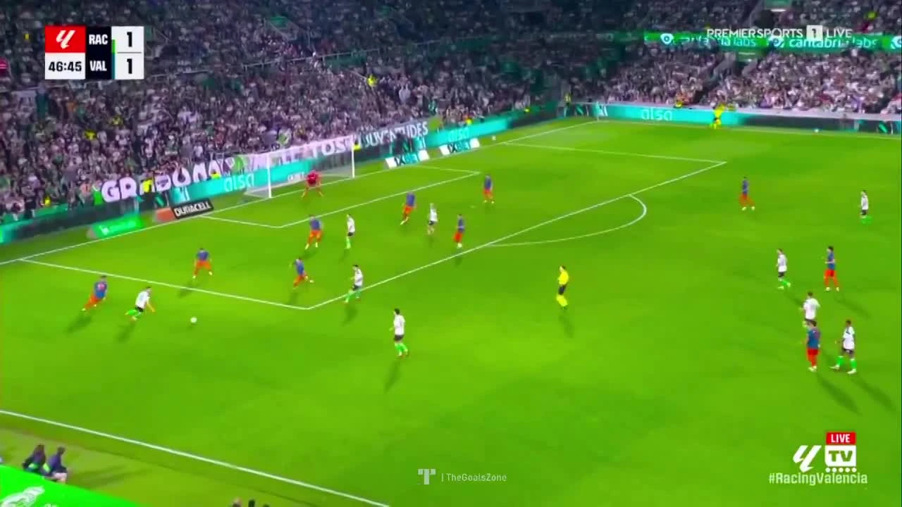 zaslepka skrotu video