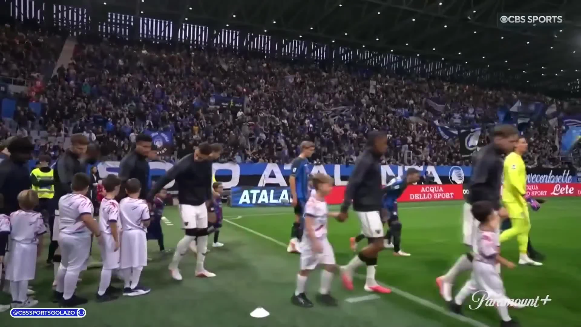 zaslepka skrotu video