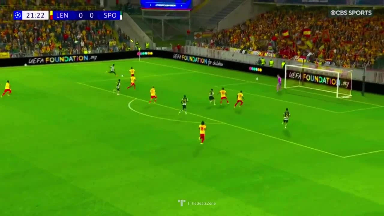 zaslepka skrotu video