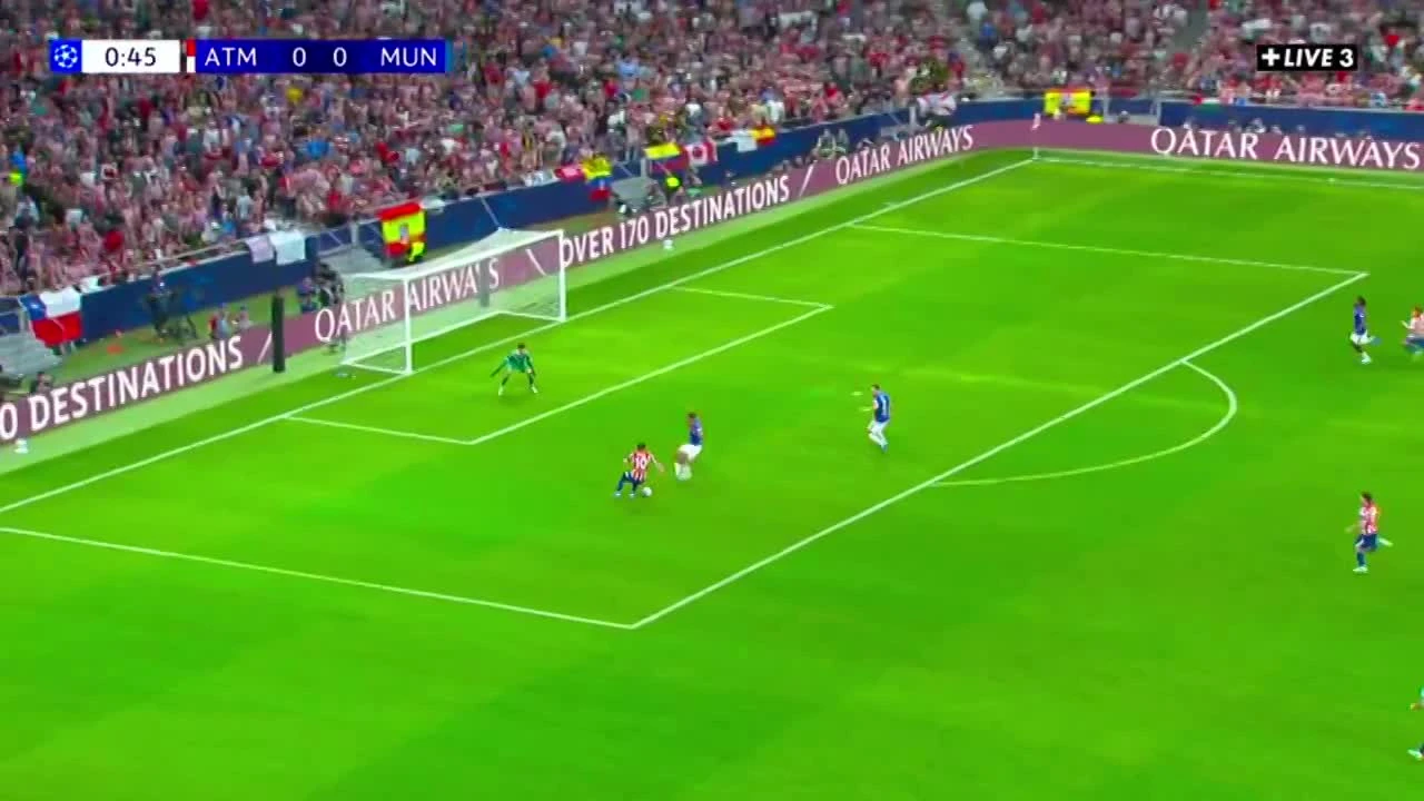 zaslepka skrotu video
