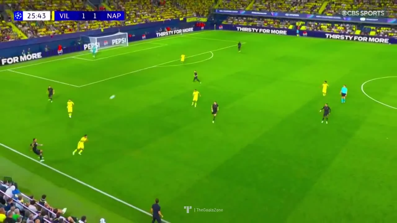 zaslepka skrotu video