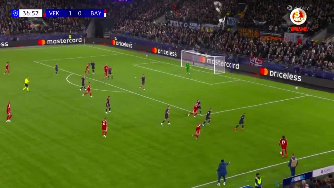 zaslepka skrotu video