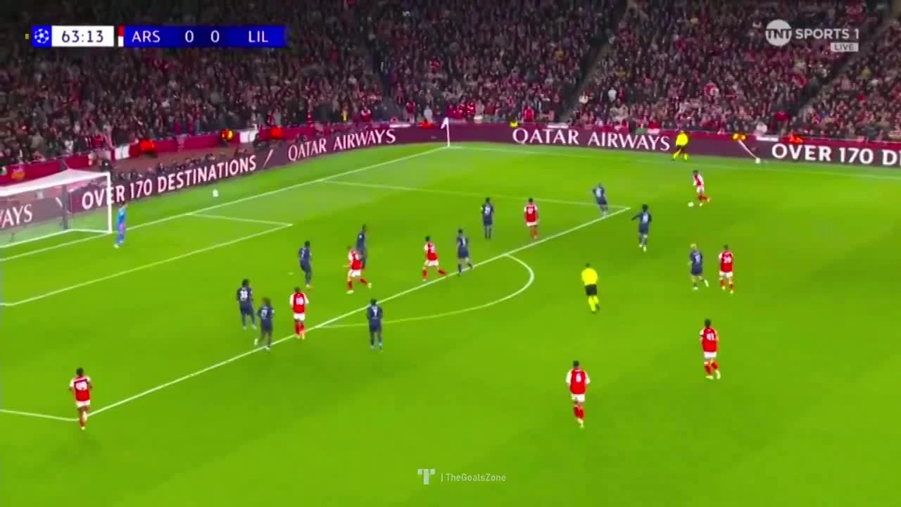 zaslepka skrotu video