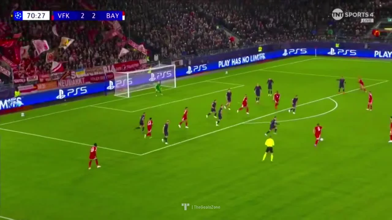zaslepka skrotu video