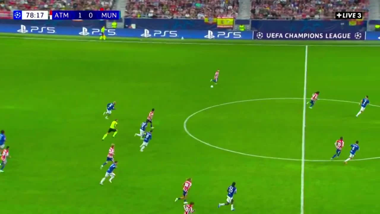 zaslepka skrotu video