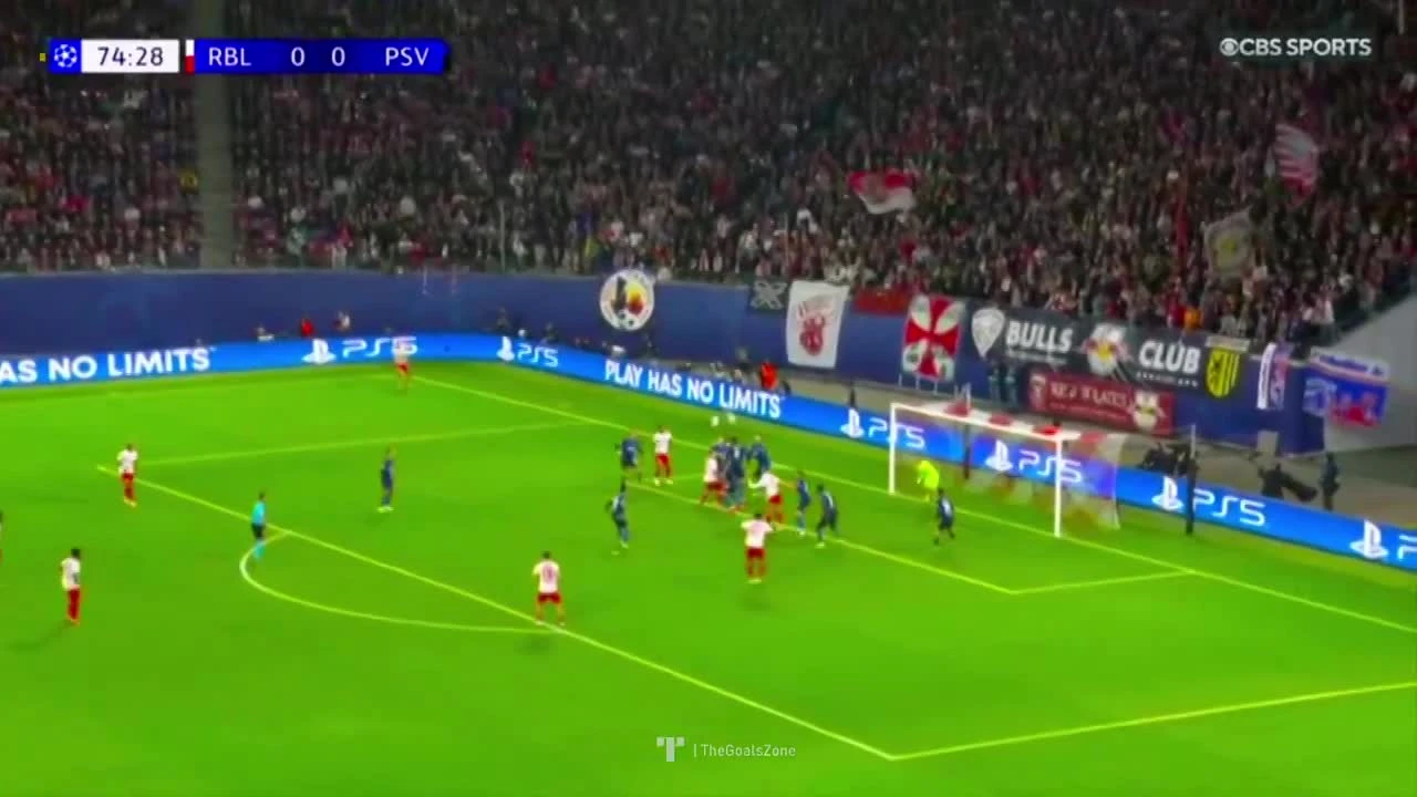 zaslepka skrotu video