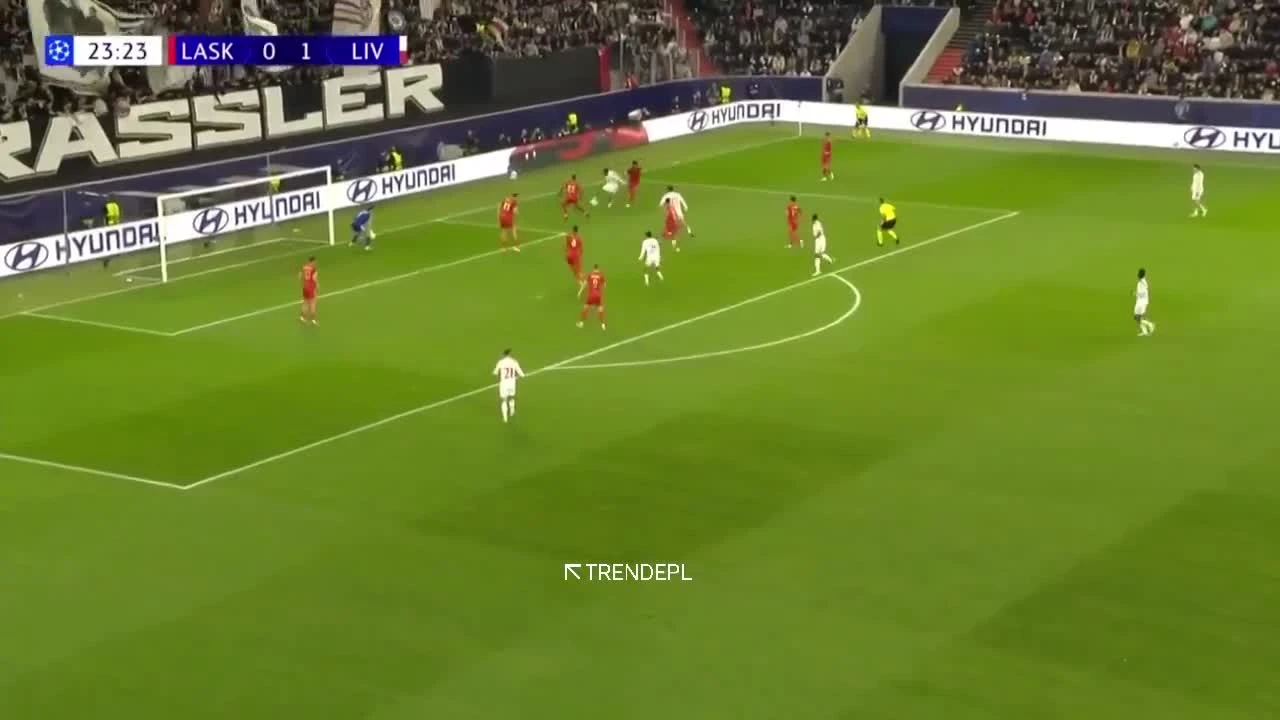 zaslepka skrotu video