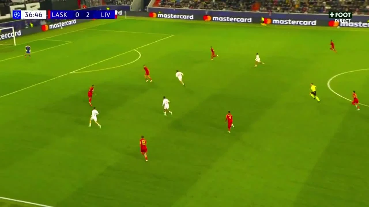 zaslepka skrotu video