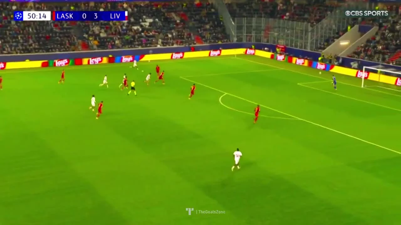 zaslepka skrotu video