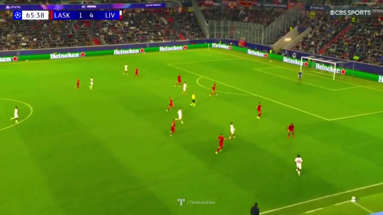 zaslepka skrotu video