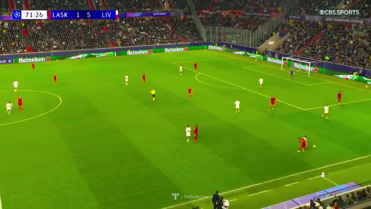 zaslepka skrotu video
