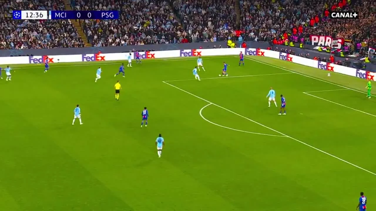 zaslepka skrotu video