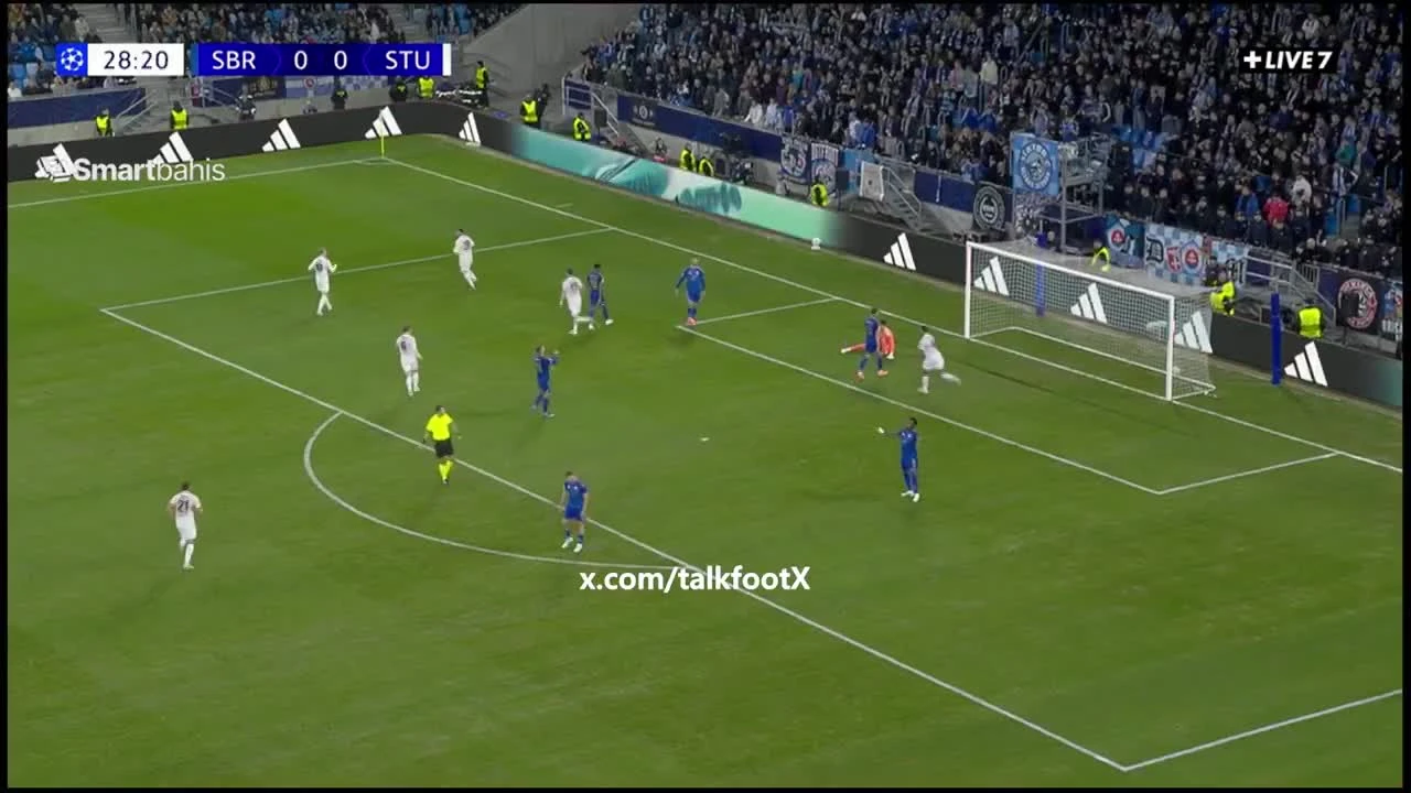 zaslepka skrotu video