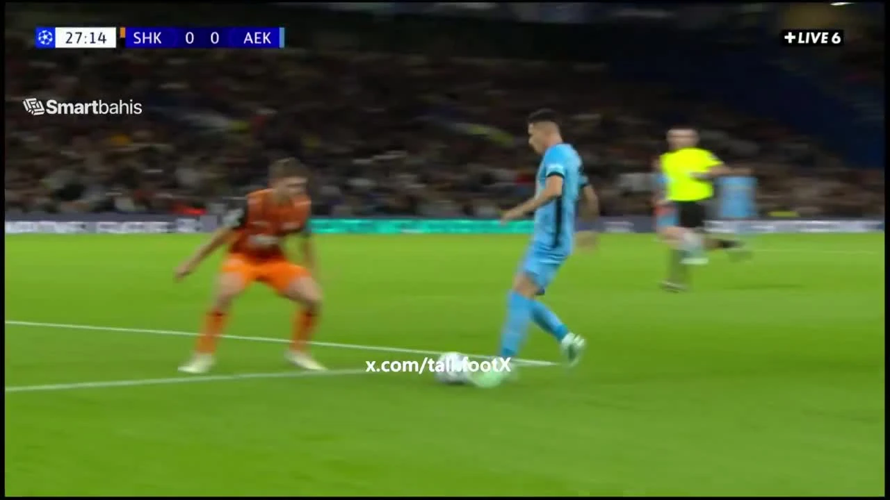 zaslepka skrotu video