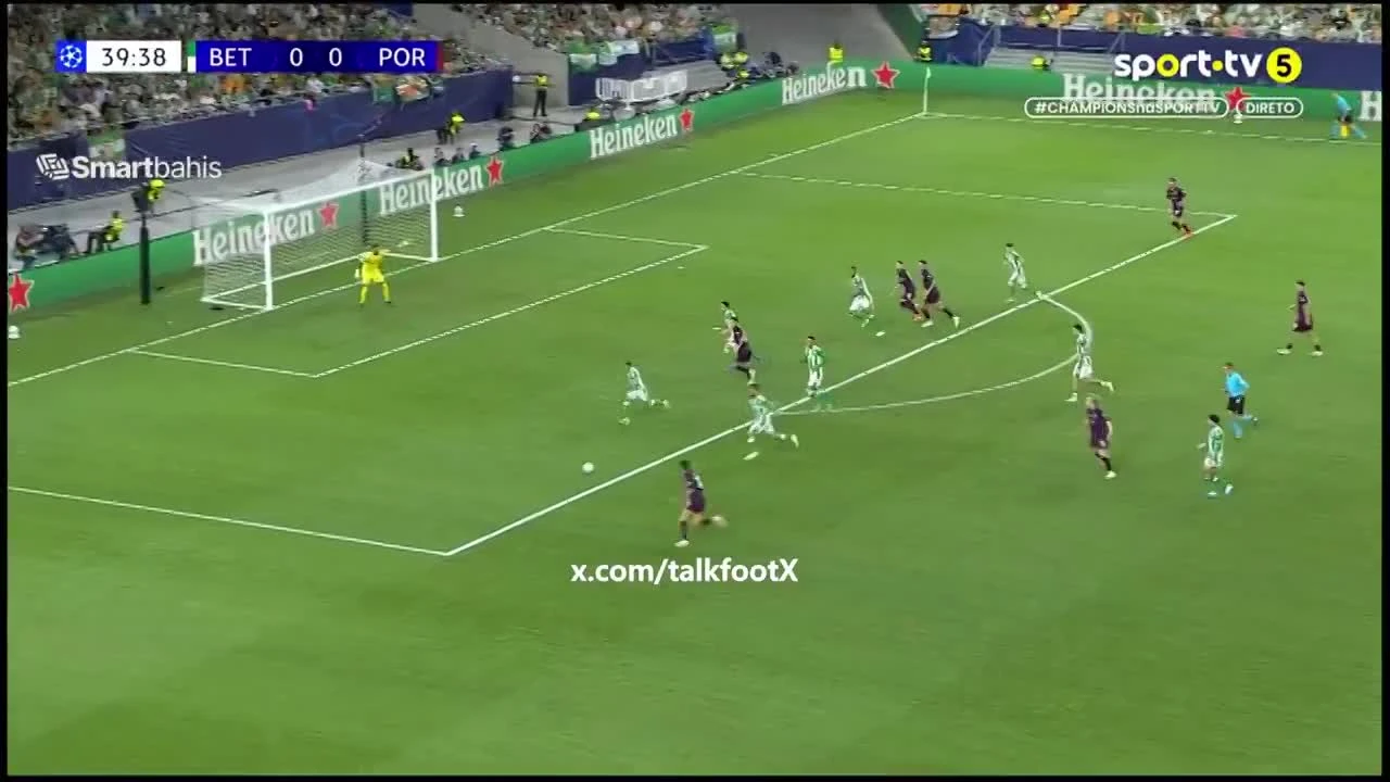zaslepka skrotu video