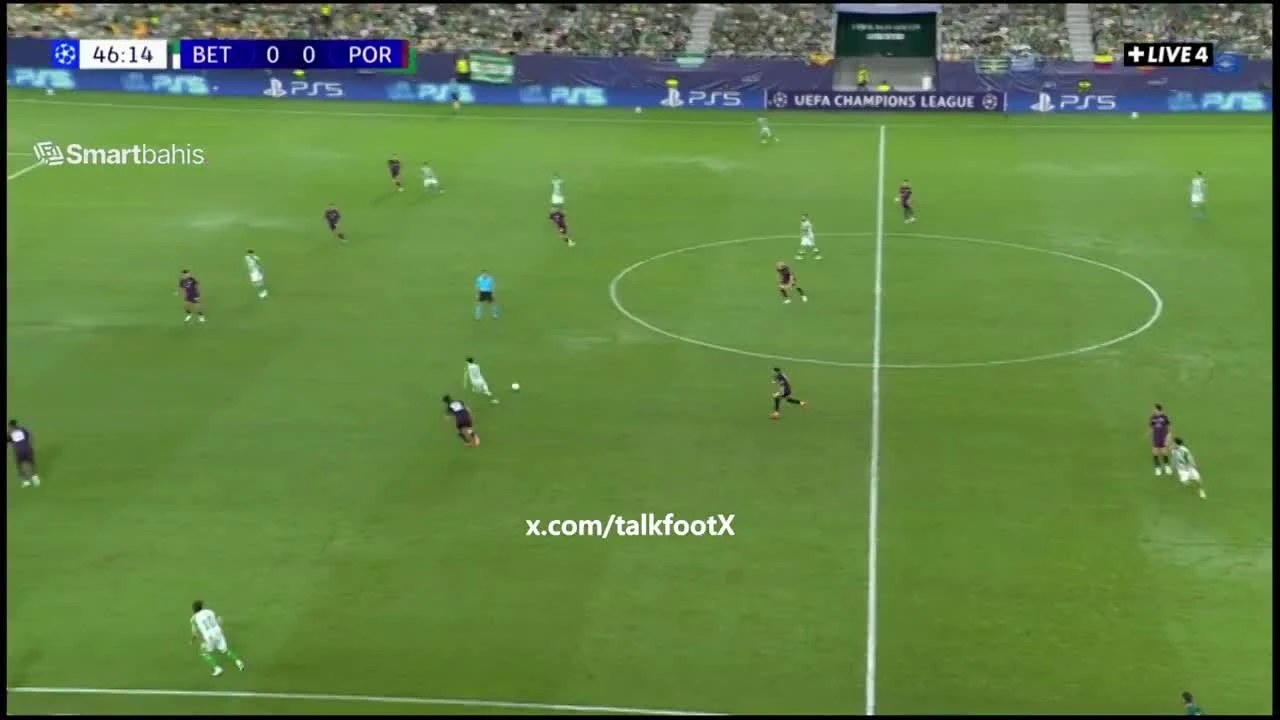 zaslepka skrotu video