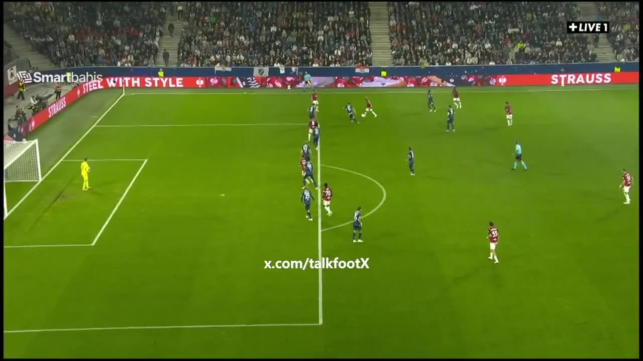 zaslepka skrotu video