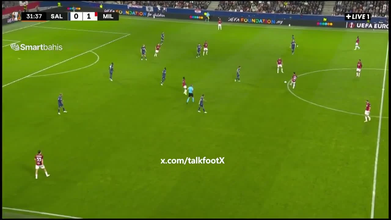 zaslepka skrotu video