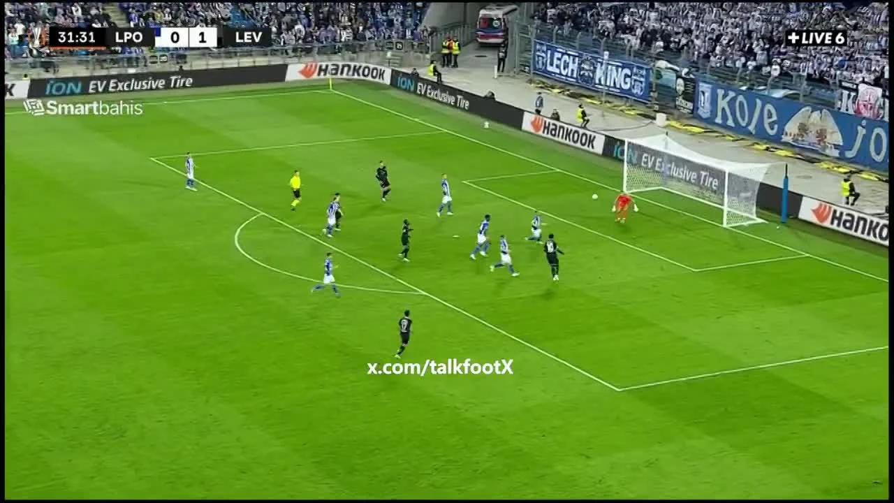 zaslepka skrotu video
