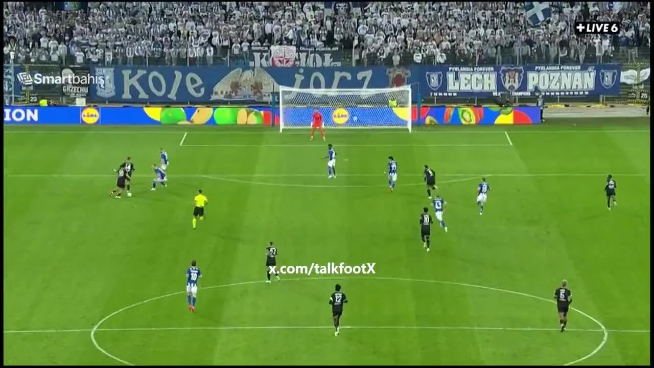 zaslepka skrotu video