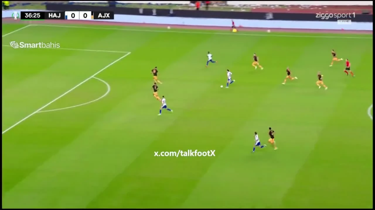 zaslepka skrotu video