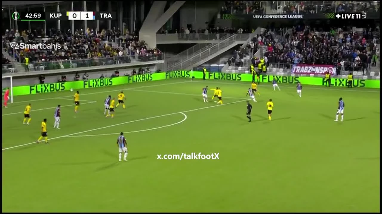 zaslepka skrotu video