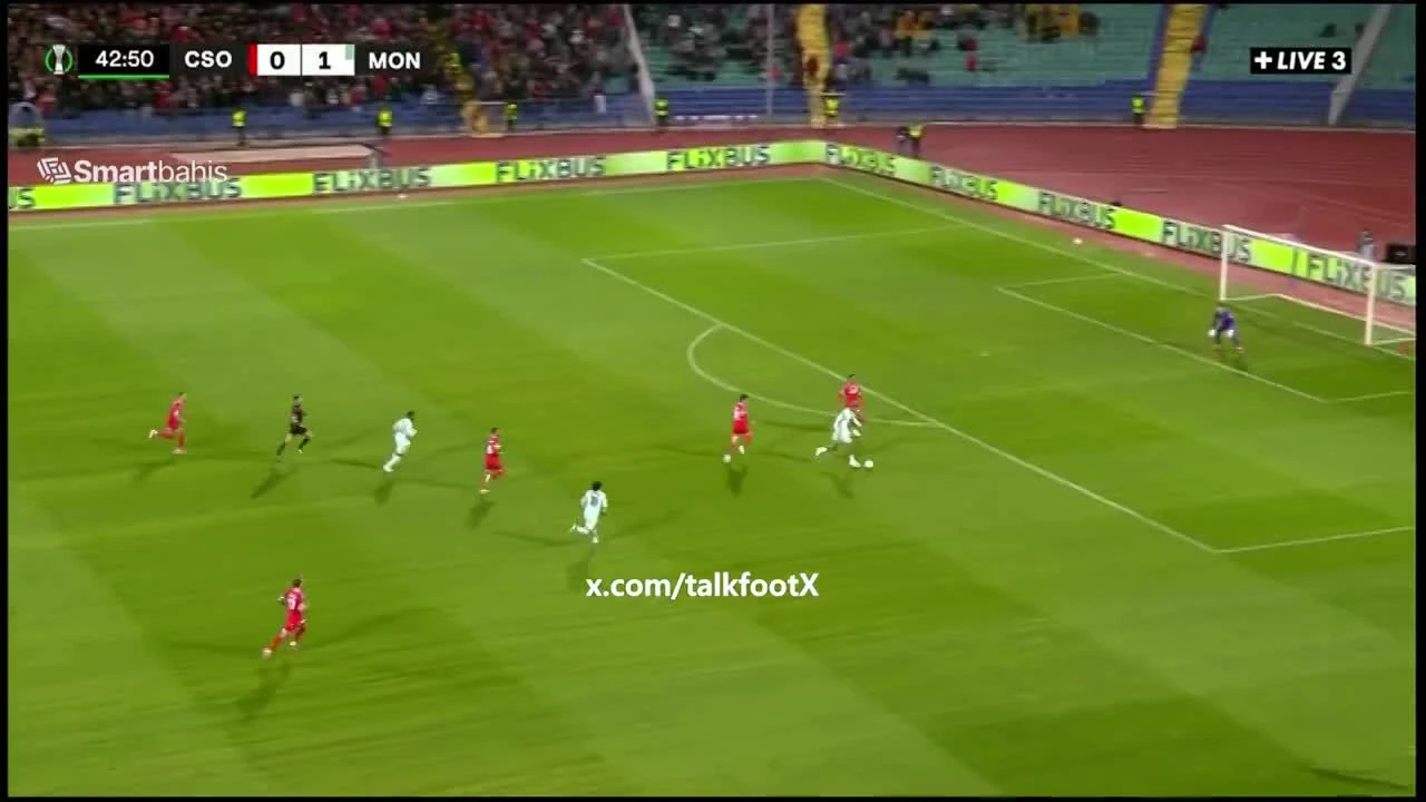 zaslepka skrotu video